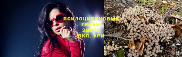 гидропоника Покровск