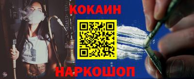СК Бийск