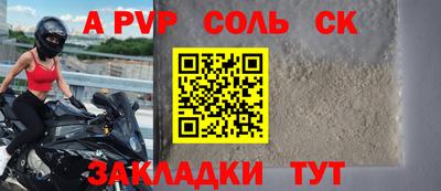 СК Бийск