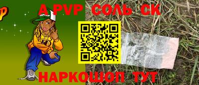 СК Бийск