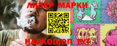 СК Бийск