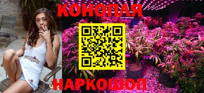 СК Бийск
