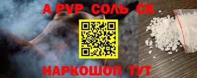 СК Бийск