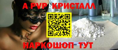 СК Бийск