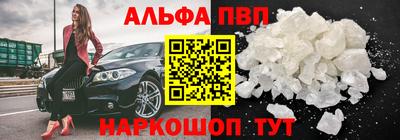 СК Бийск