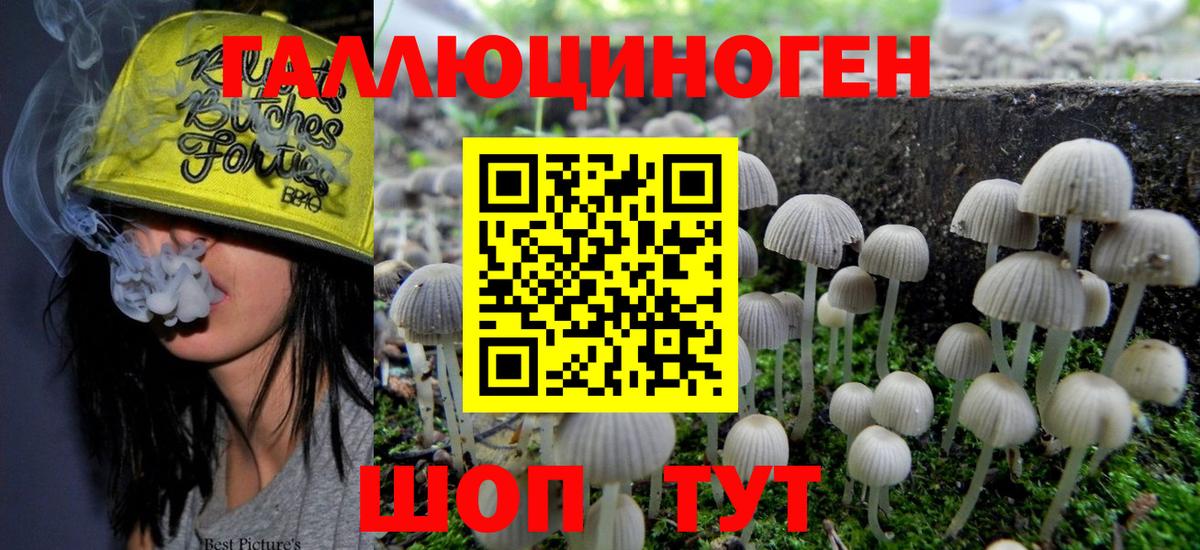 Галлюциногенные грибы GOLDEN TEACHER Прохладный