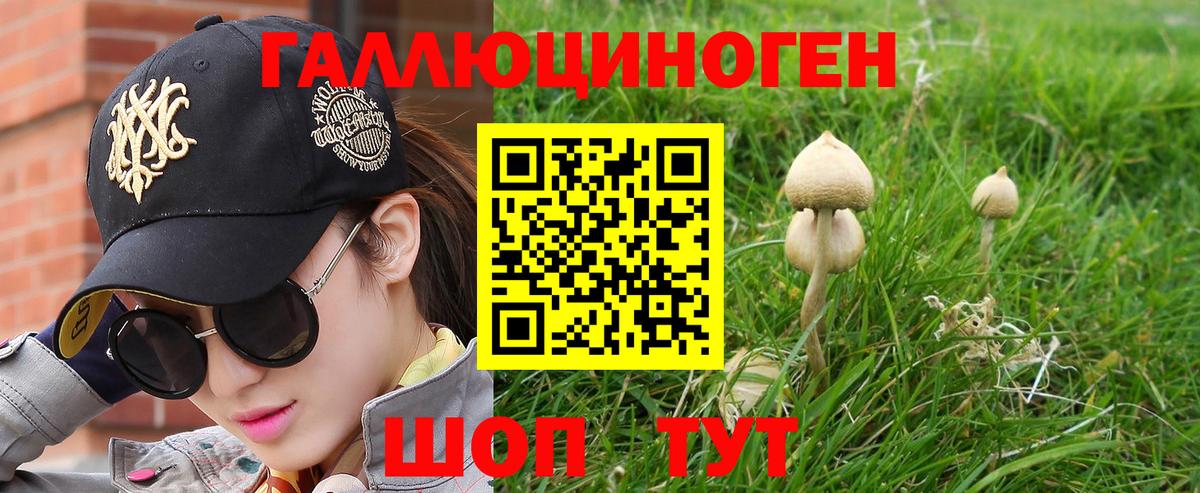 Галлюциногенные грибы Psilocybe  Вход с VPN  Прохладный 