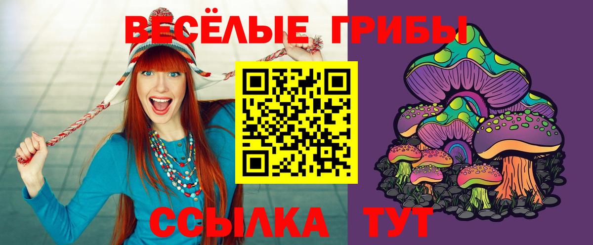 Галлюциногенные грибы Psilocybine cubensis  Прохладный 